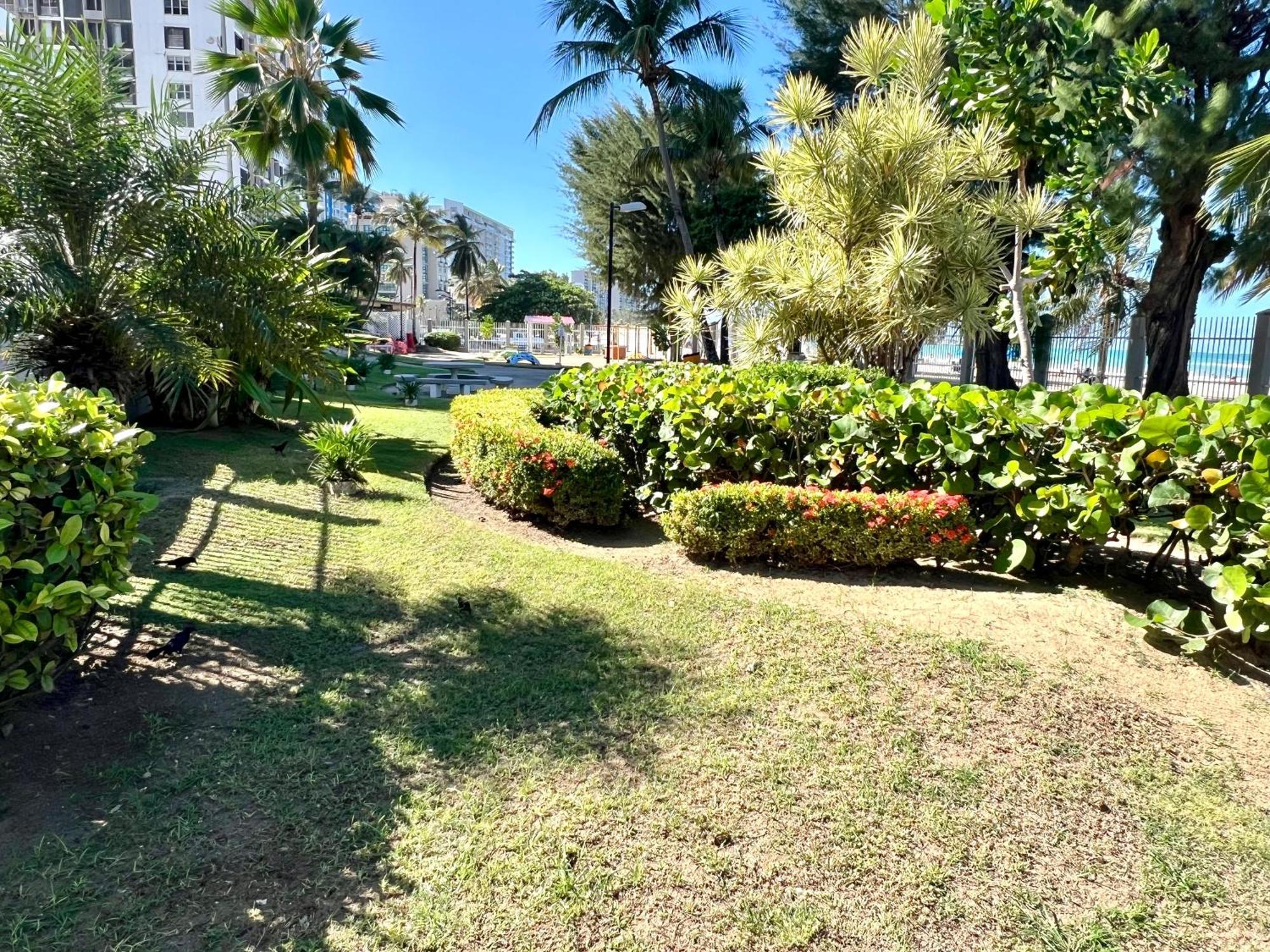 Ocean View Apt On Isla Verde In A 14Th Floor San Juan Luaran gambar